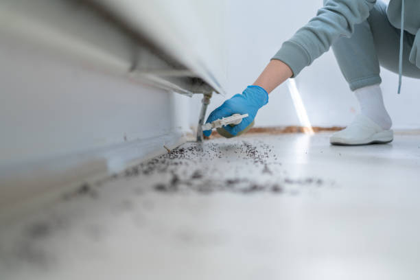 Best Mosquito Control Services  in Dawson, MN